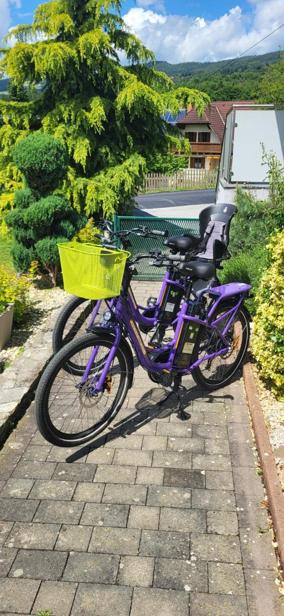 Zwei Schlafzimmer Ferienapartment Anna Am Stubenbergsee Inklusive Vier E-Bikes Экстерьер фото